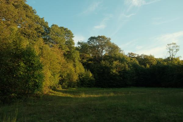 Boswell, P.A. - Sep. 2024