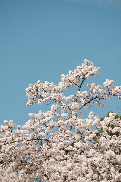 Washington, D.C. - Mar. 2024