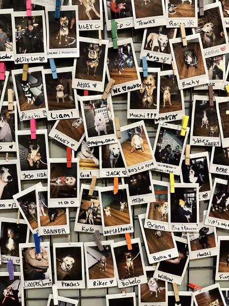 Bean There, Done That: Our Coffee Shop Reviews