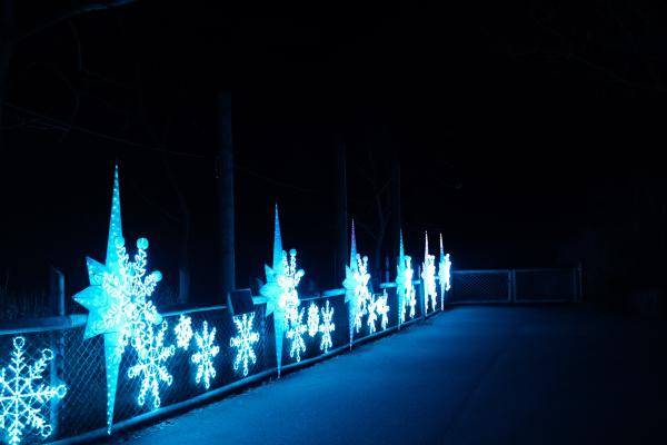 Asian Lantern Festival - Dec. 2024